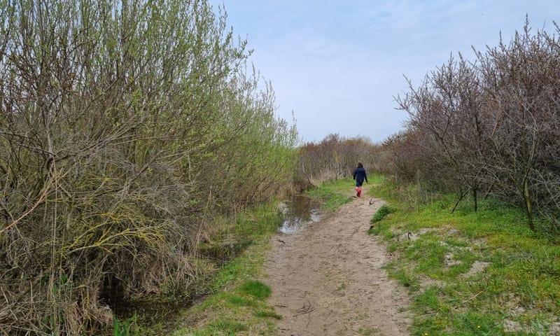 Wandelen in Kennemerstrand