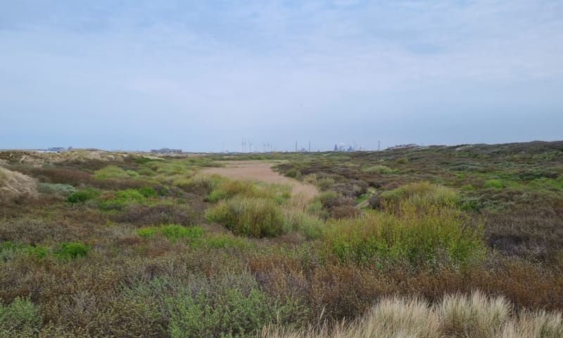Kennemerland