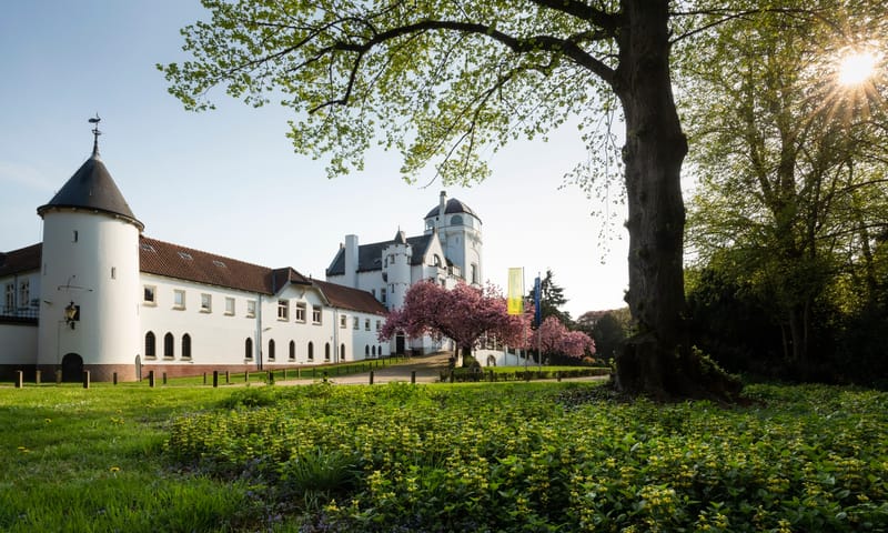Landgoed Mookerheide, zon achter de bomen