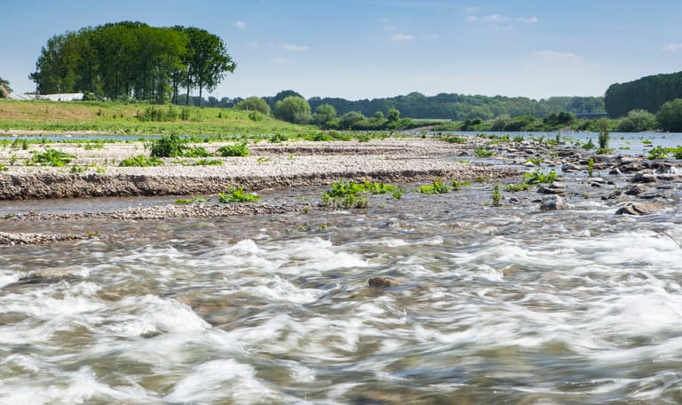 Maas in Meers