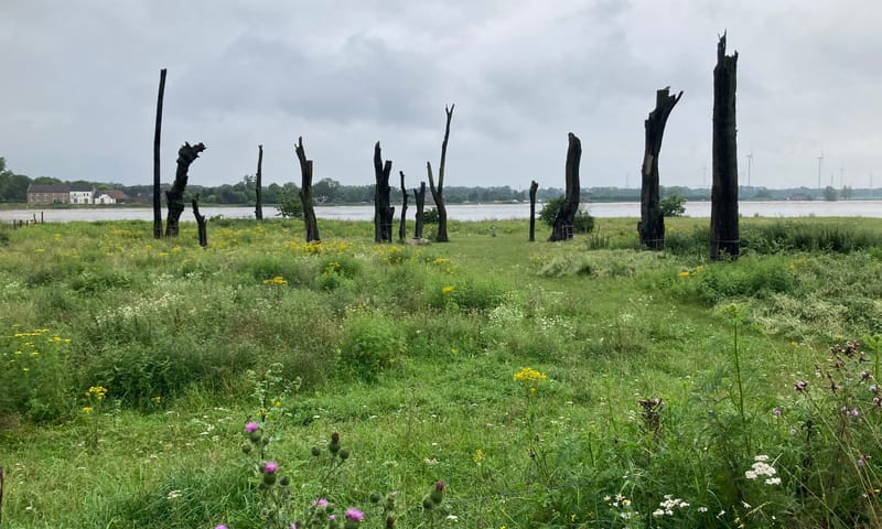 Bomenmonumenten Meers