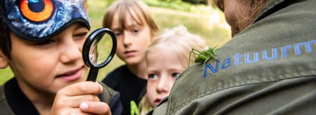 Vrijwillige publieksboswachter