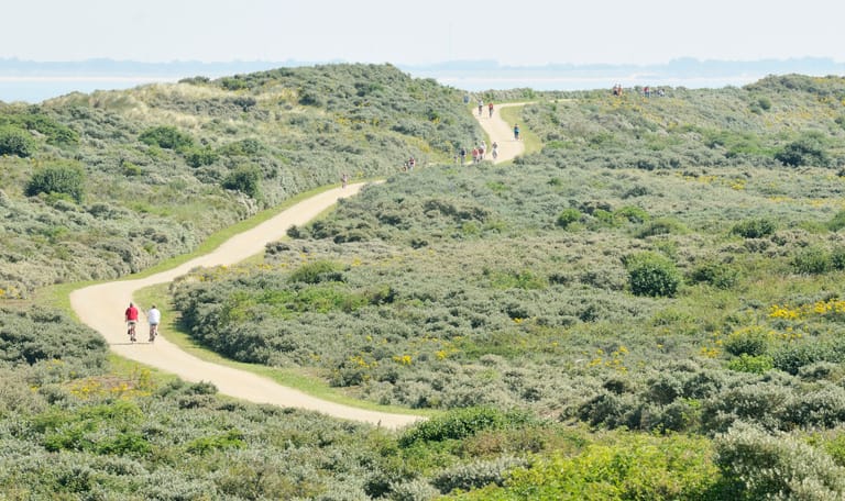 Duinen van Goeree