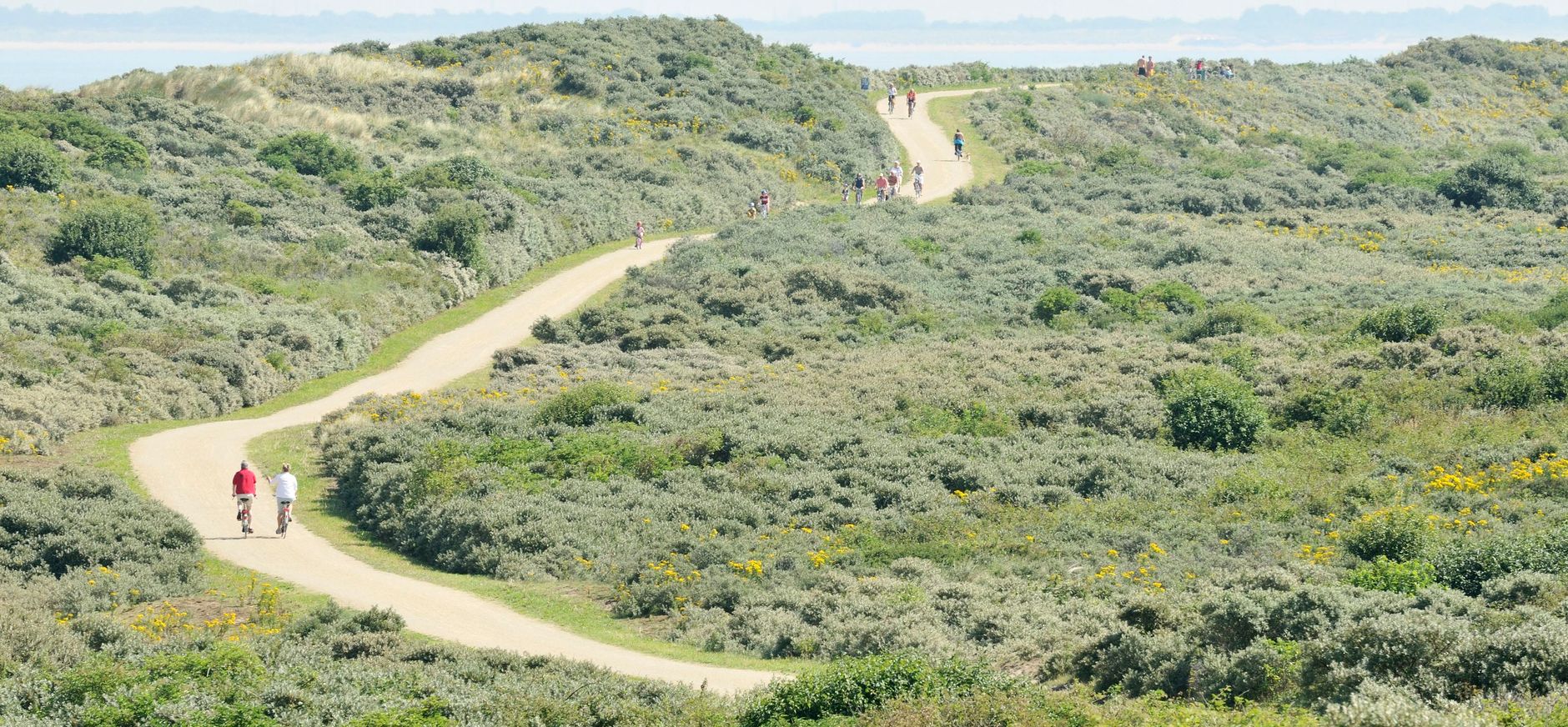 Duinen van Goeree
