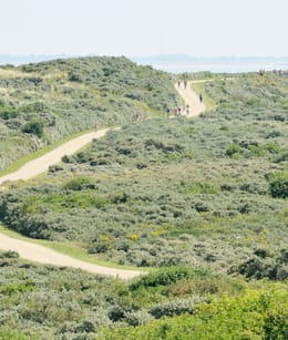 Duinen van Goeree