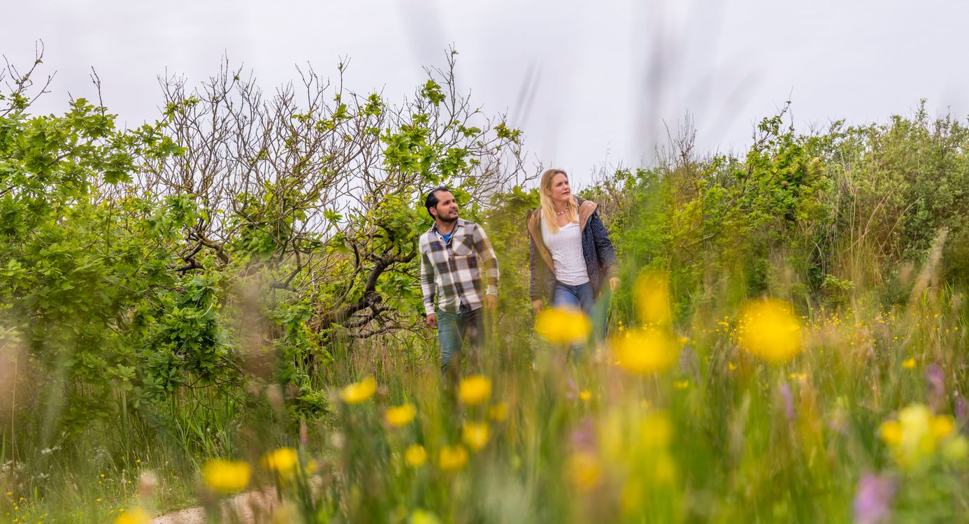 Wandelroute Zwanenwater