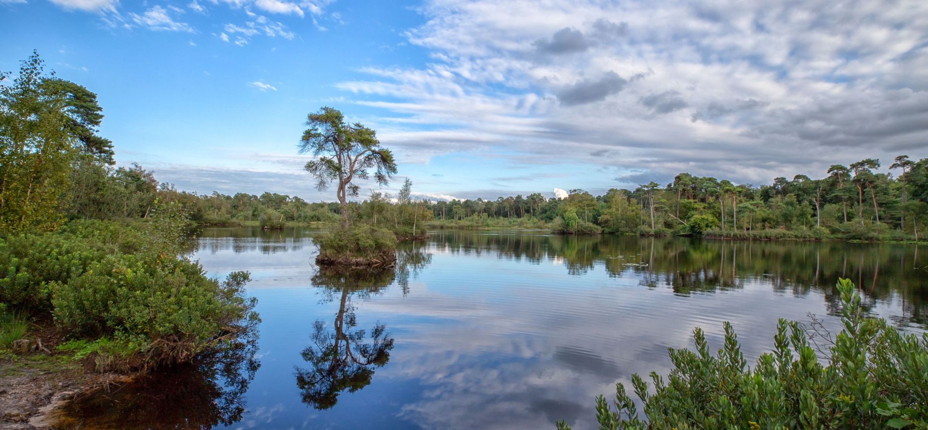 Oisterwijkse Bossen en Vennen