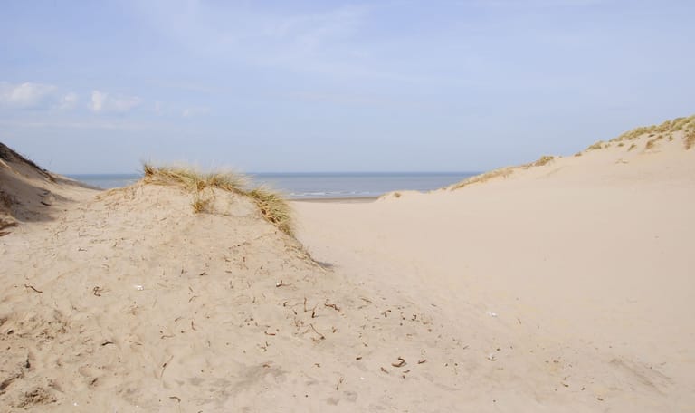Nationaal Park Zuid-Kennemerland duinen