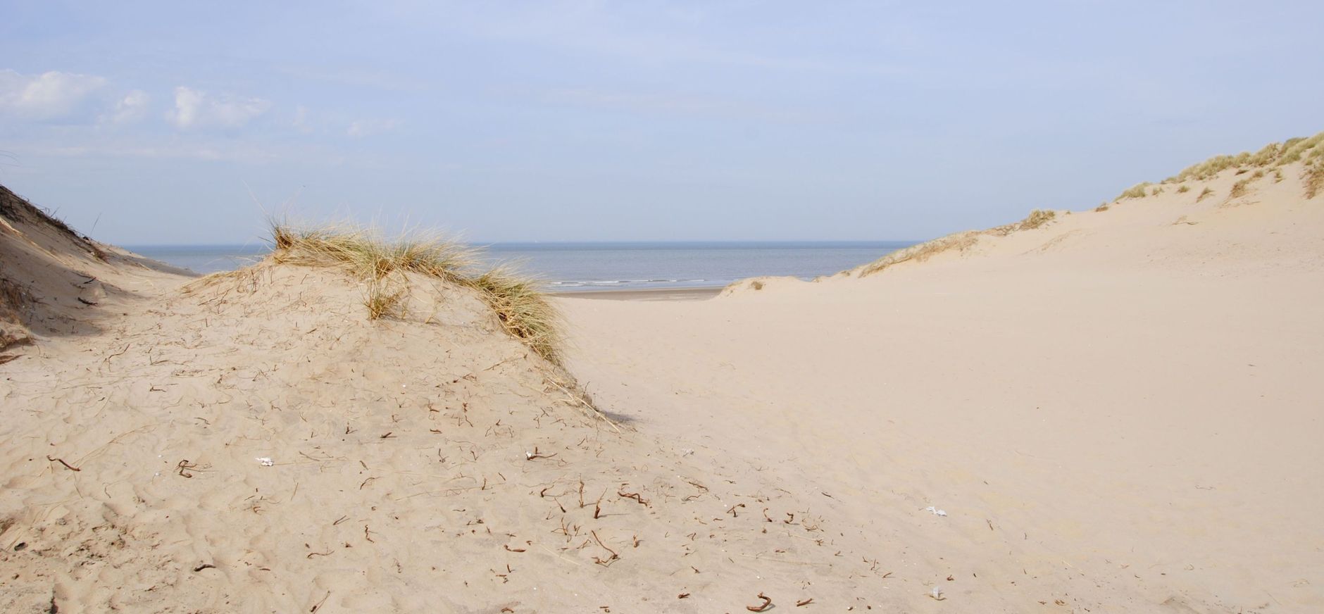 Nationaal Park Zuid-Kennemerland duinen