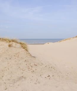 Nationaal Park Zuid-Kennemerland duinen