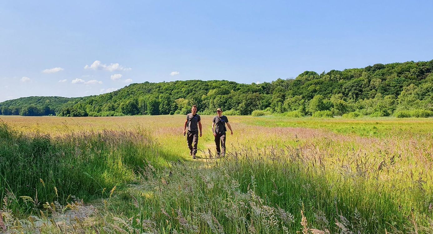 Boswachters in De Diepen