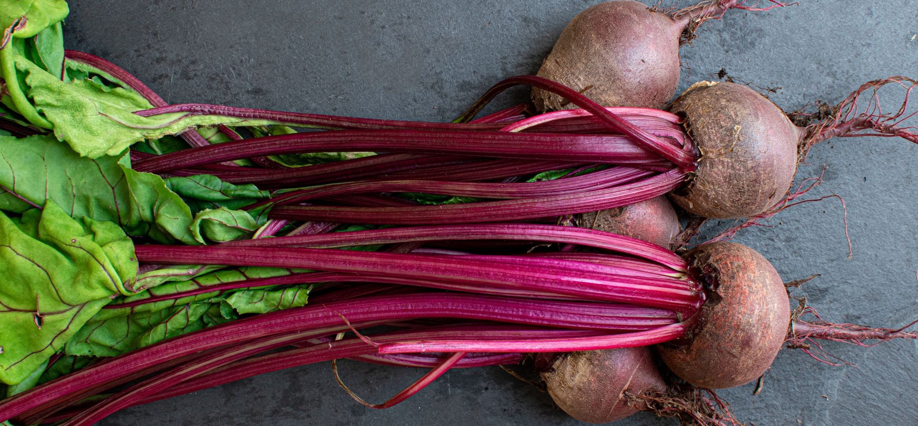 Rode Bieten
