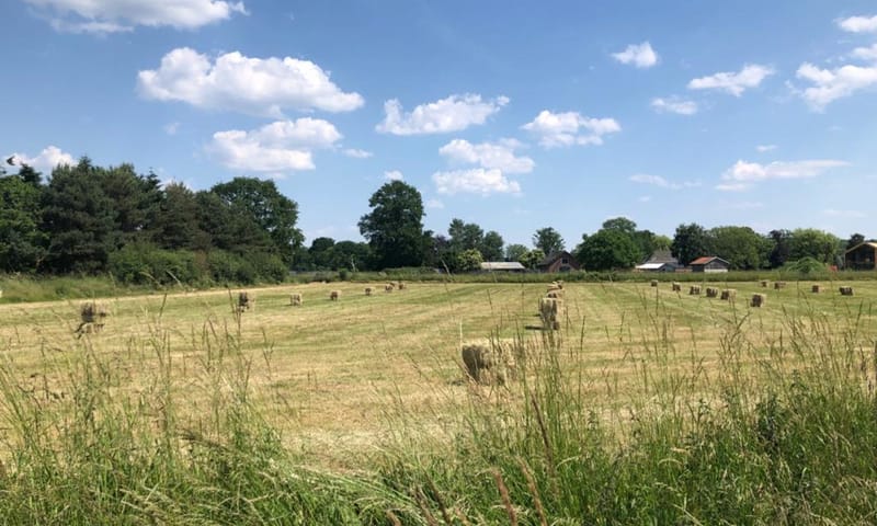 Hooi voor grazers