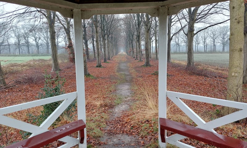 Oude Buisse Heide