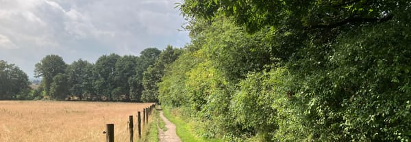 Langs deze meidoornhaag wandel je prettig beschut