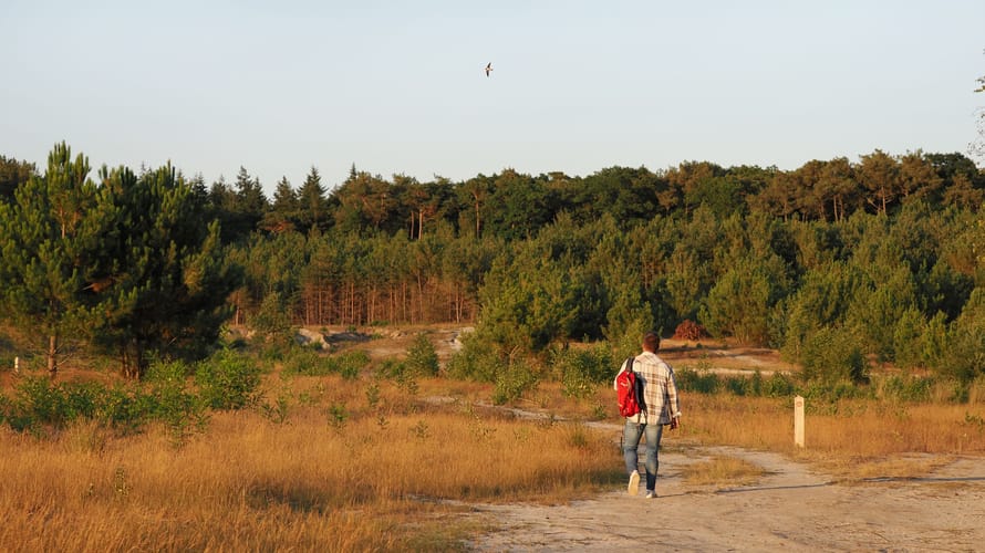 Route Mammoet