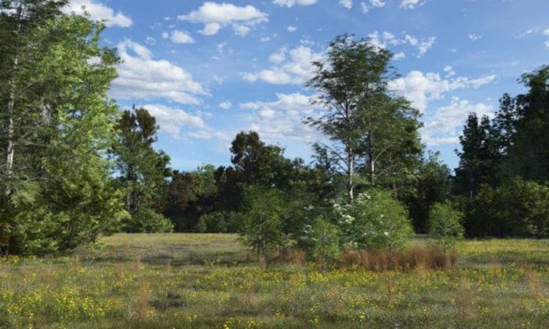 Voorbeeld schraalgras concept natuurbegraven voorbeeldvan schraalgrasconcept natuurbegraven