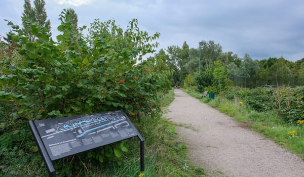 Essenburgpark Rotterdam