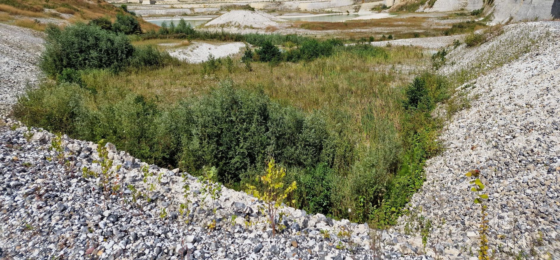 Wandel mee met de boswachter door de ENCI-groeve in natuurgebied Sint-Pietersberg nabij Maastricht