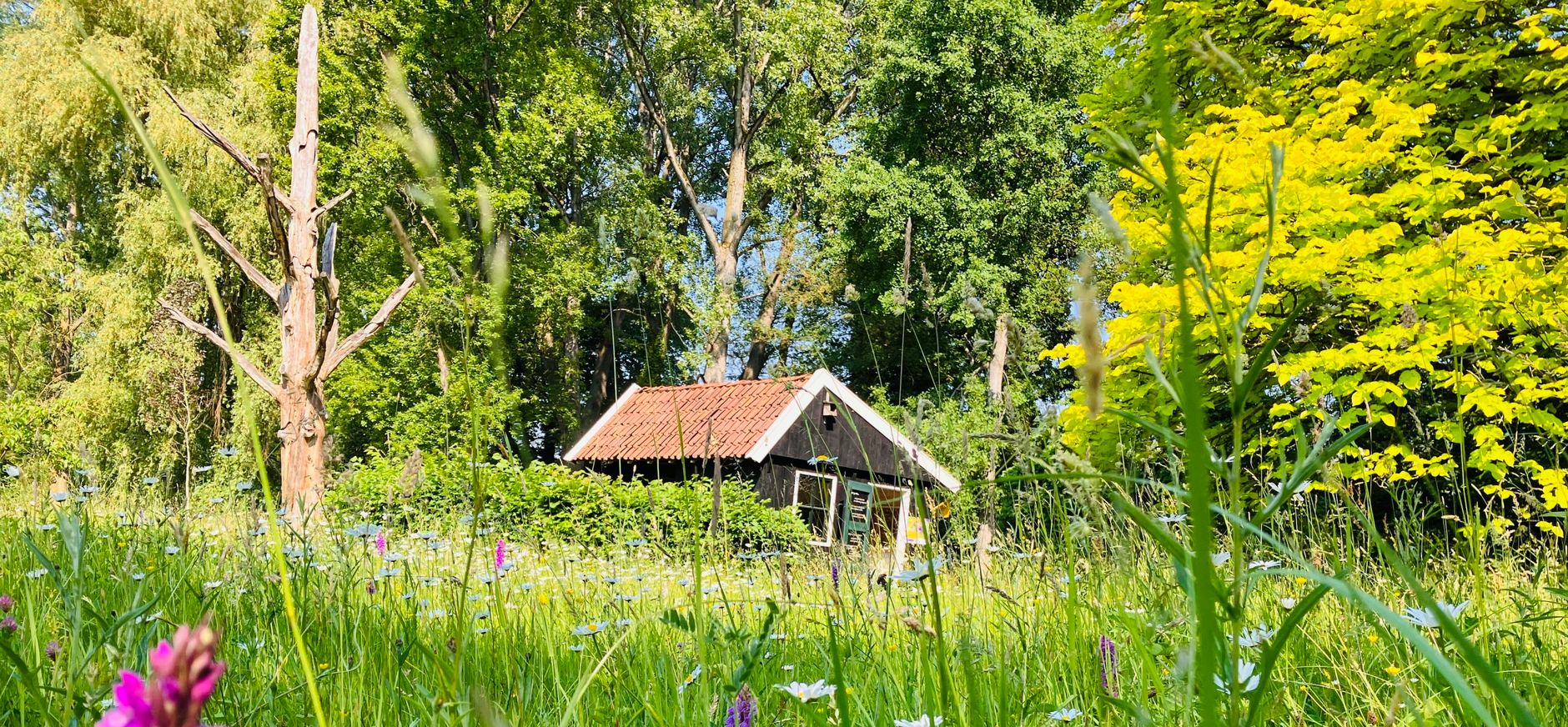 Arboretum Poort Bulten