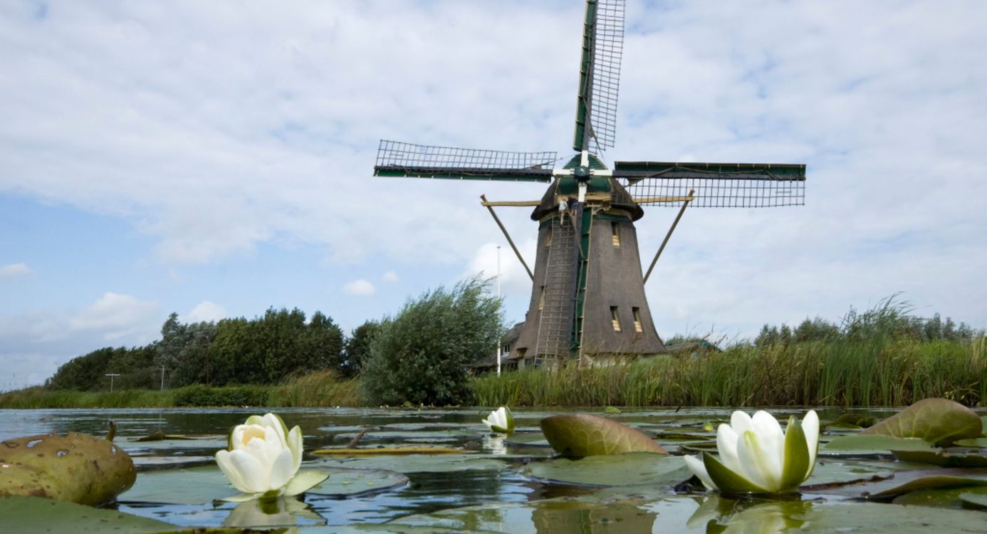 Molen de Onrust foto van molen de Onrust