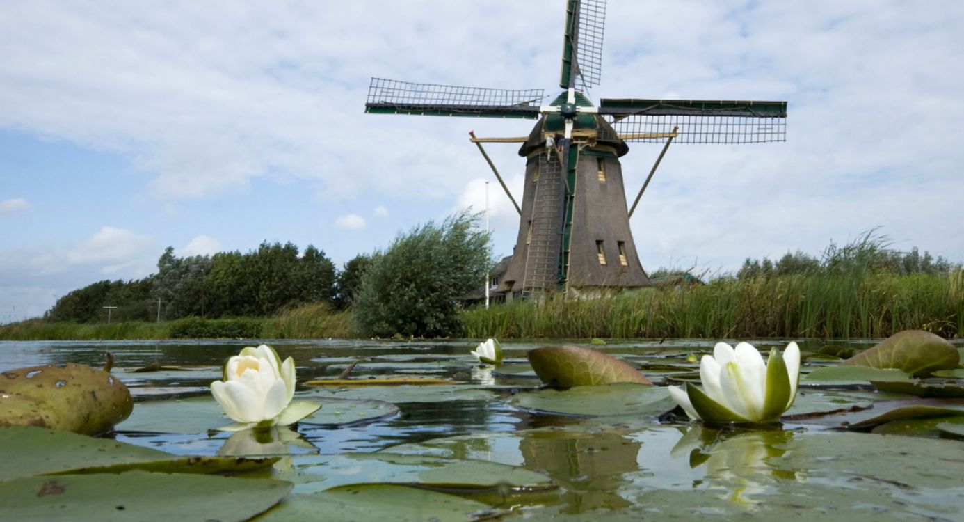 Molen de Onrust foto van molen de Onrust