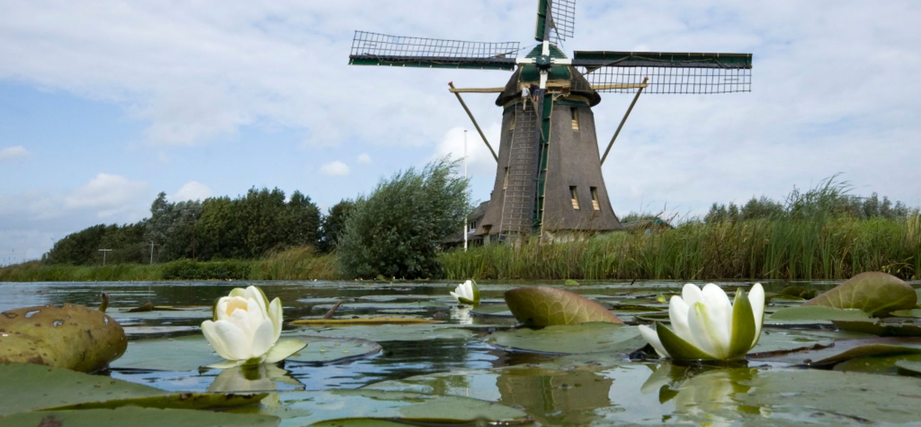 Molen de Onrust foto van molen de Onrust