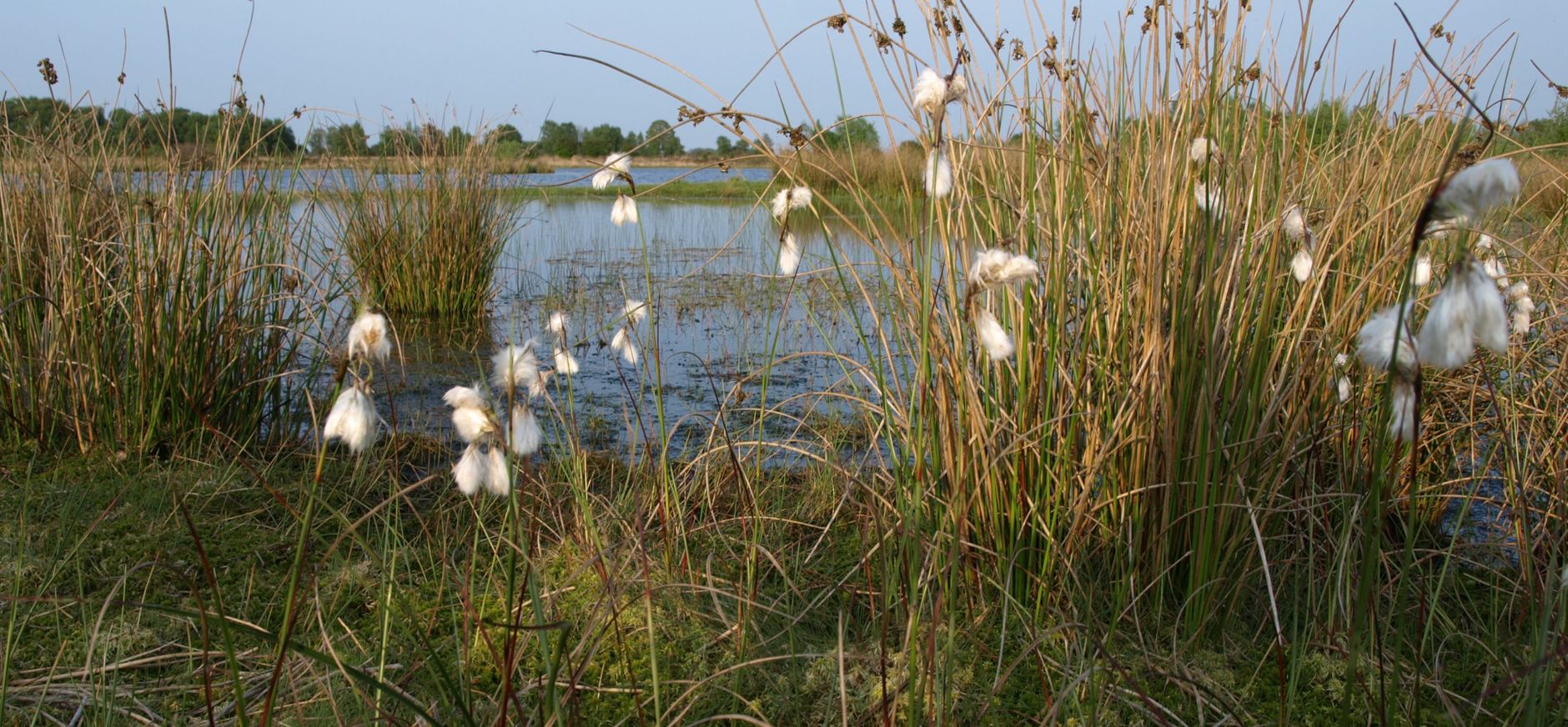 Wooldse Veen veenpluis