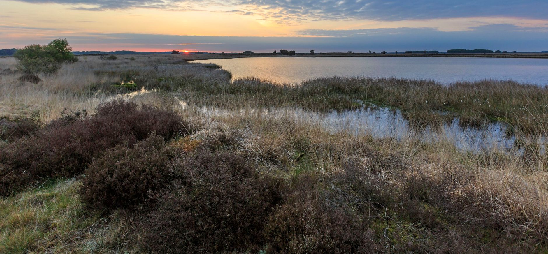 Eindeloze vergezichten NP Dwingelderveld