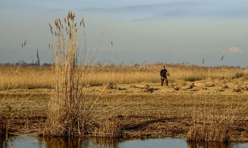 Nieuwkoopse plassen