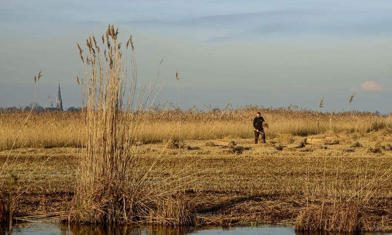 Nieuwkoopse plassen
