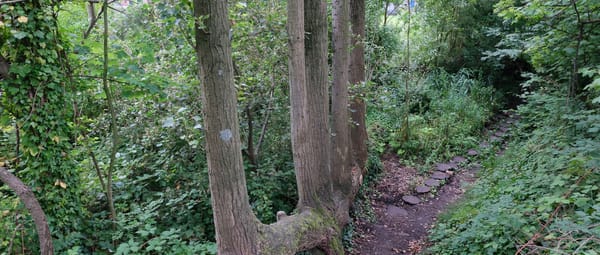 Spoortuin Rotterdam