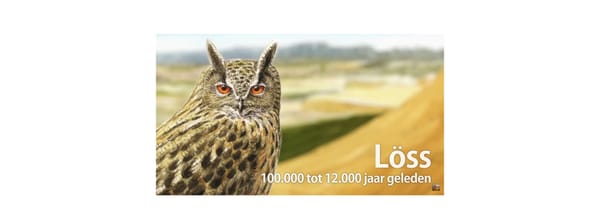 routepunt 2 - löss