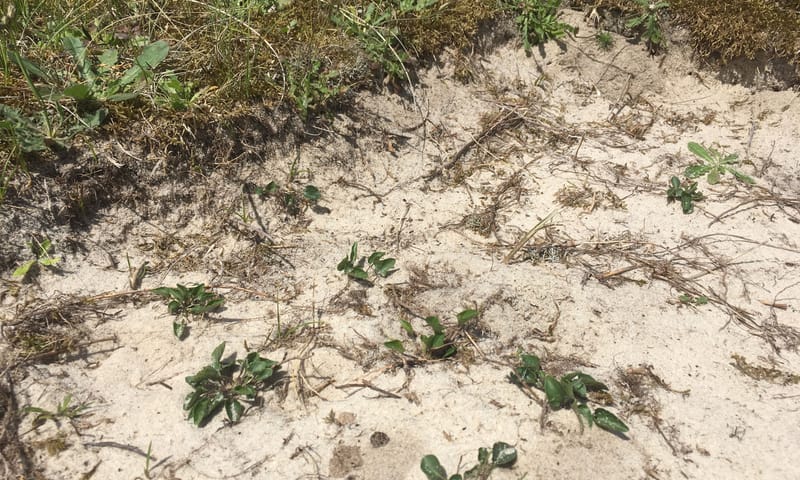 kleine stukjes plaggen