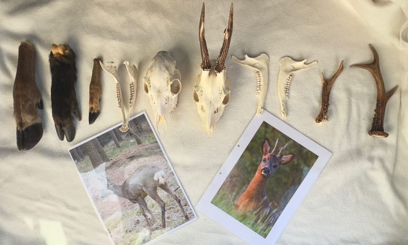 Voor de wandeling een korte uitleg