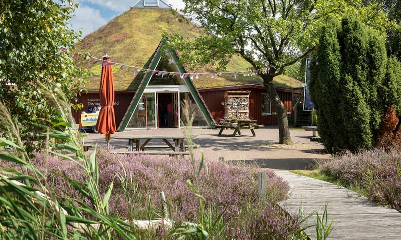 Bezoekerscentrum Dwingelderveld ligt aan de rand van het Dwingelderveld