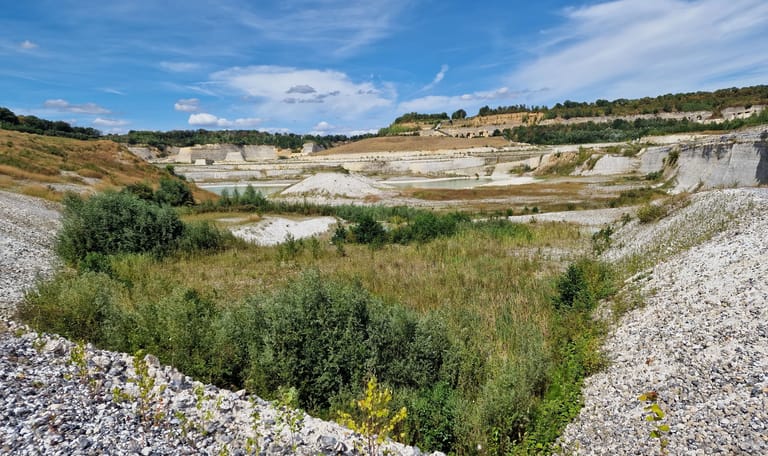 Wandel mee met de boswachter door de ENCI-groeve in natuurgebied Sint-Pietersberg nabij Maastricht