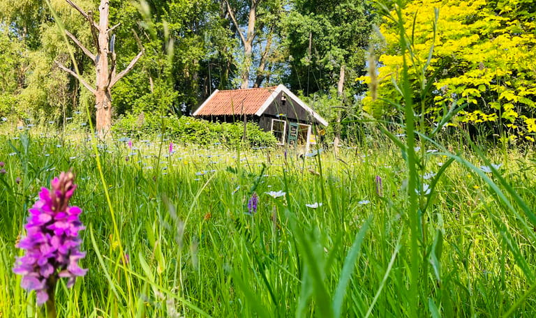 Arboretum Poort Bulten