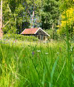 Arboretum Poort Bulten
