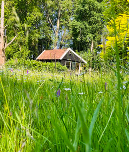 Arboretum Poort Bulten