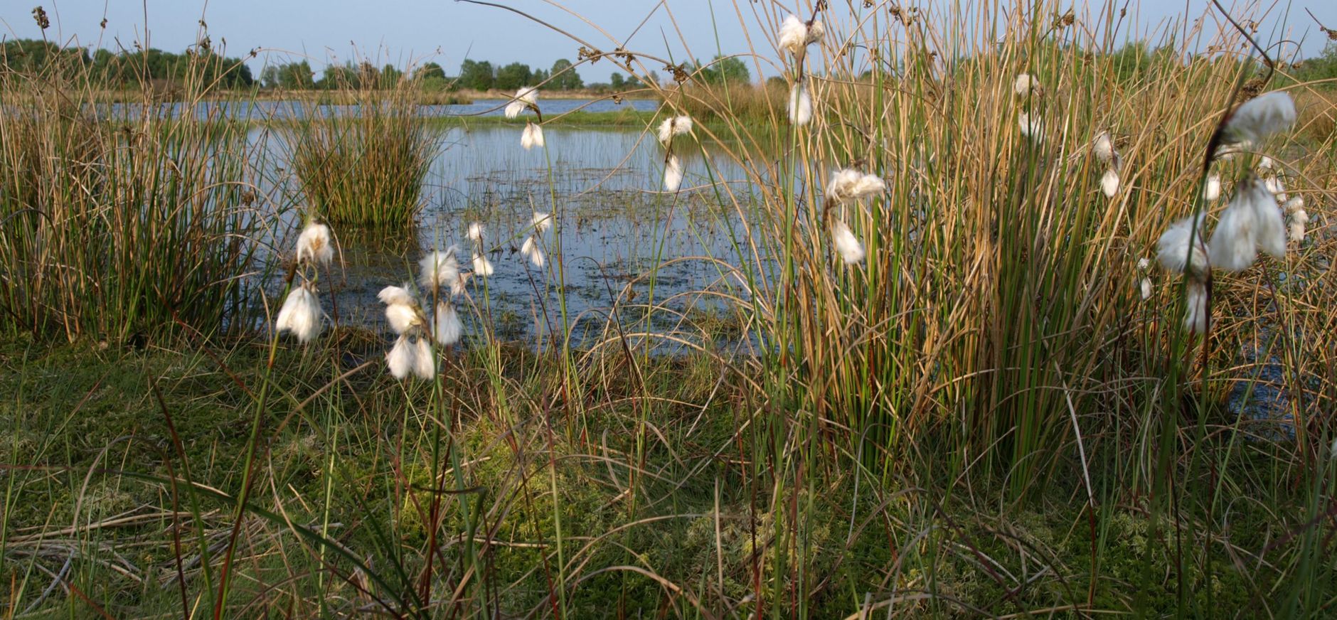 Wooldse Veen veenpluis