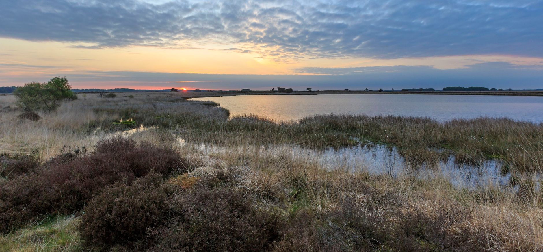 Eindeloze vergezichten NP Dwingelderveld