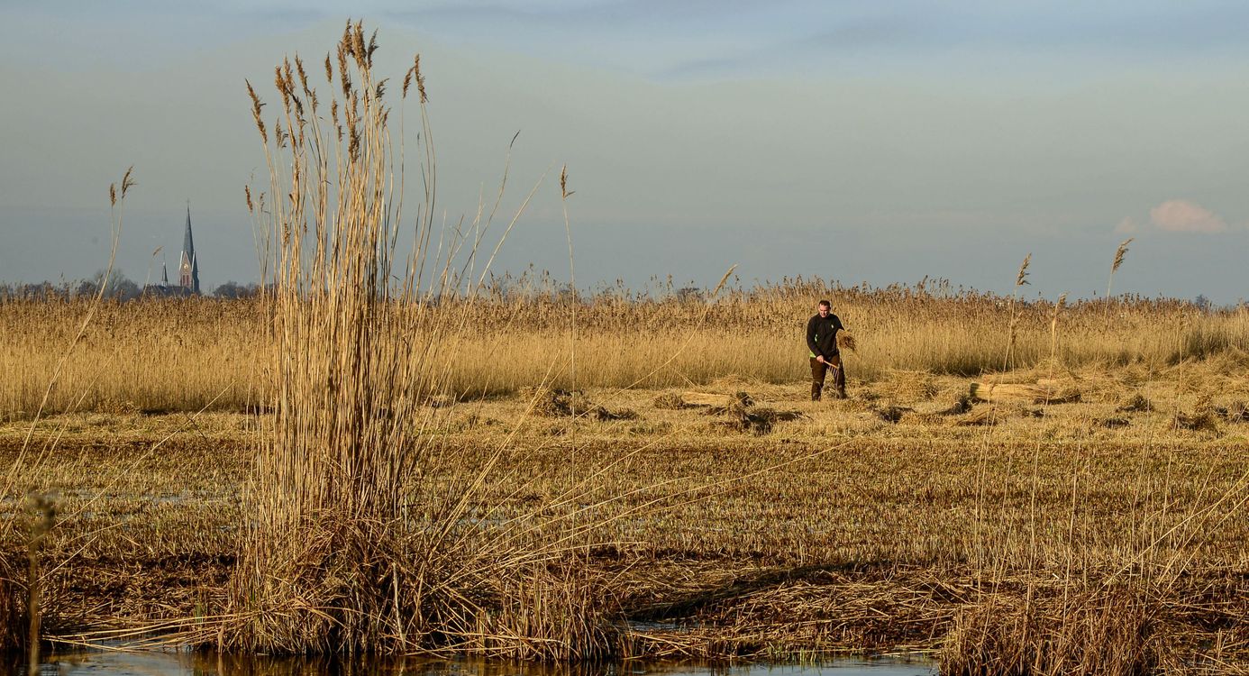 Nieuwkoopse plassen