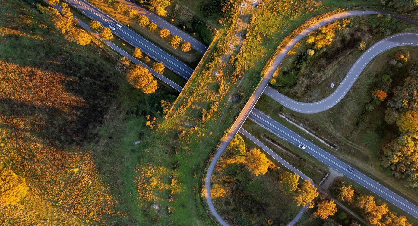 Natuurbrug