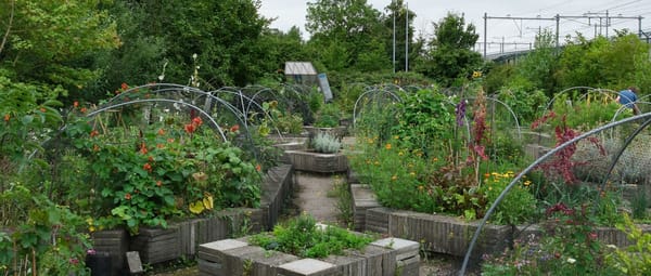 Spoortuin Rotterdam