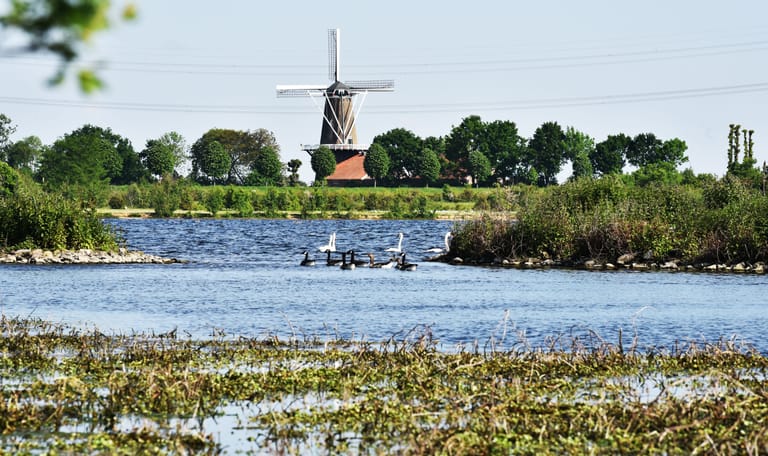 Hompesche Molen in landschap