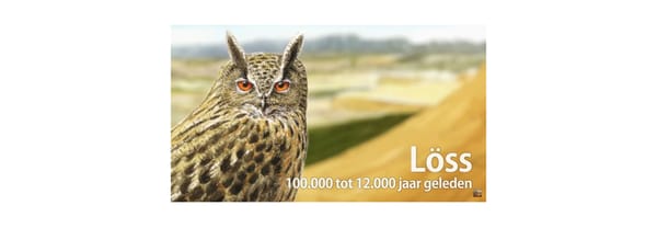 routepunt 2 - löss