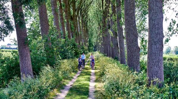Fietsen over de bloemdijken Fietsen over de bloemdijken