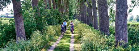 Fietsen over de bloemdijken Fietsen over de bloemdijken