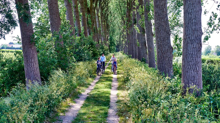 Fietsen over de bloemdijken